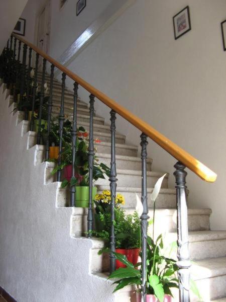 House Boninovo (Adults Only) Hotel Dubrovnik Eksteriør billede