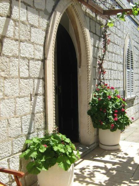 House Boninovo (Adults Only) Hotel Dubrovnik Eksteriør billede