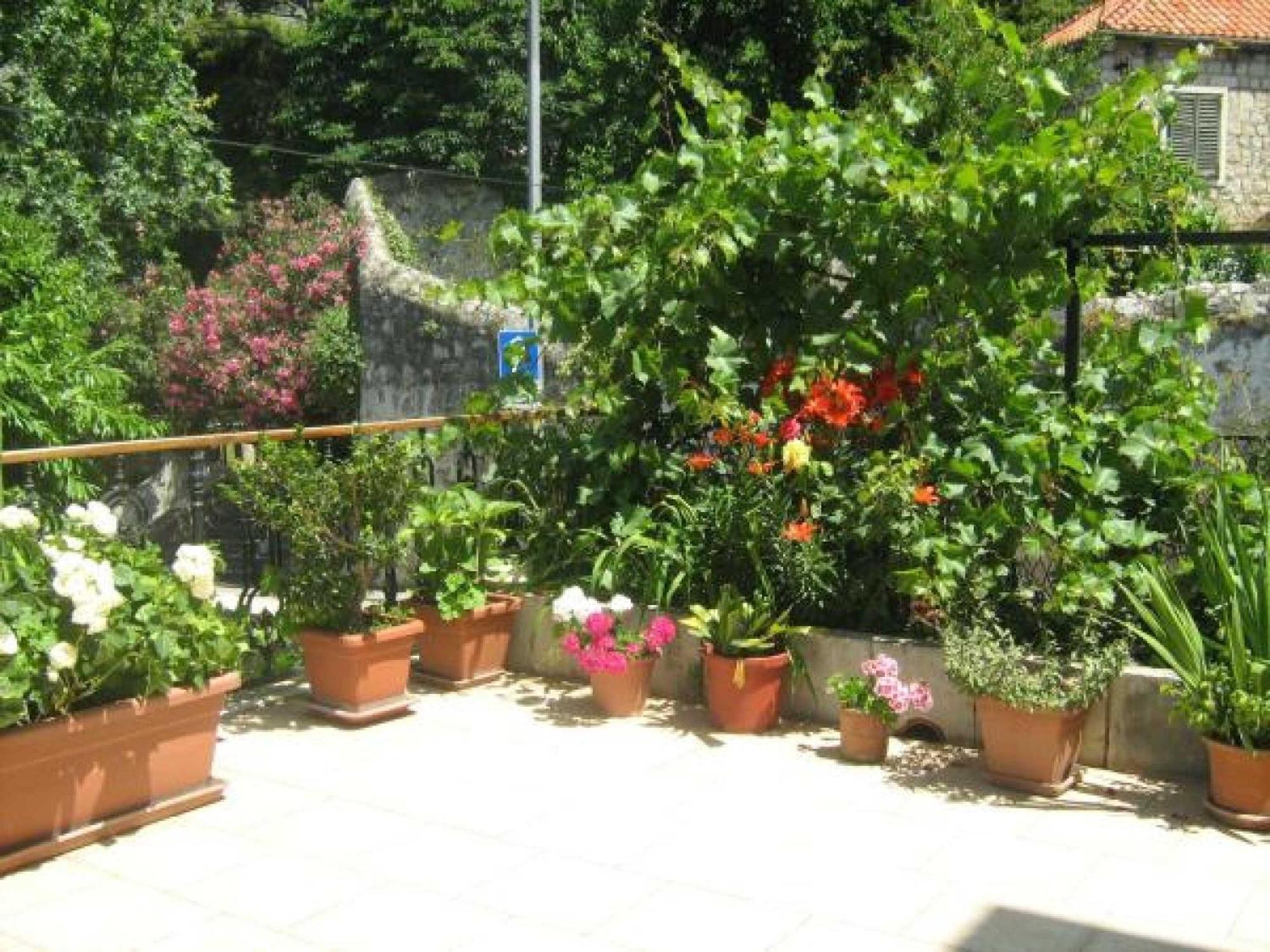 House Boninovo (Adults Only) Hotel Dubrovnik Værelse billede